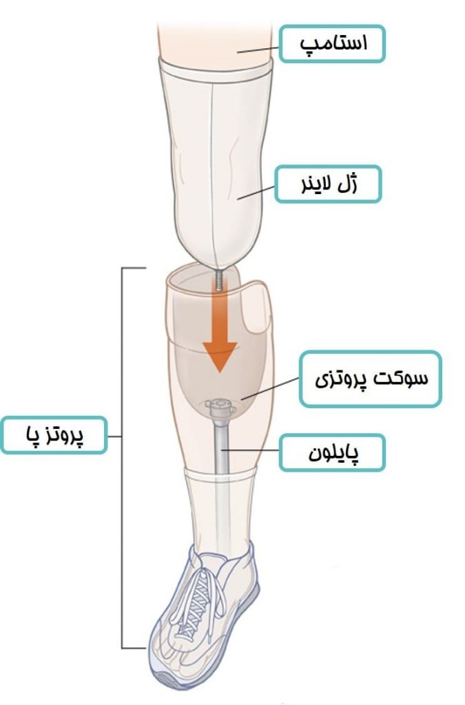 قیمت ژل لاینر