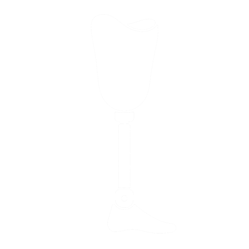 Hip prosthesis white
