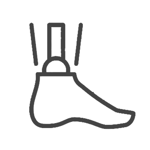 Toe prosthesis